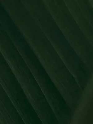 hero-image_optimized Aretes de cerámica de plátano